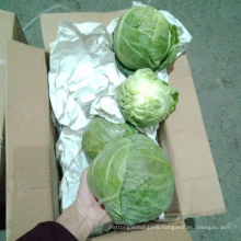 Chinese cabbage,round cabbage, fresh vegetables mixed export